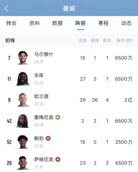 开云入口-全是当打之年！曼城全队30岁及以上球员共7人，还包括三门四门