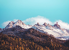 开云入口-开云官网：让云端服务触手可及的未来